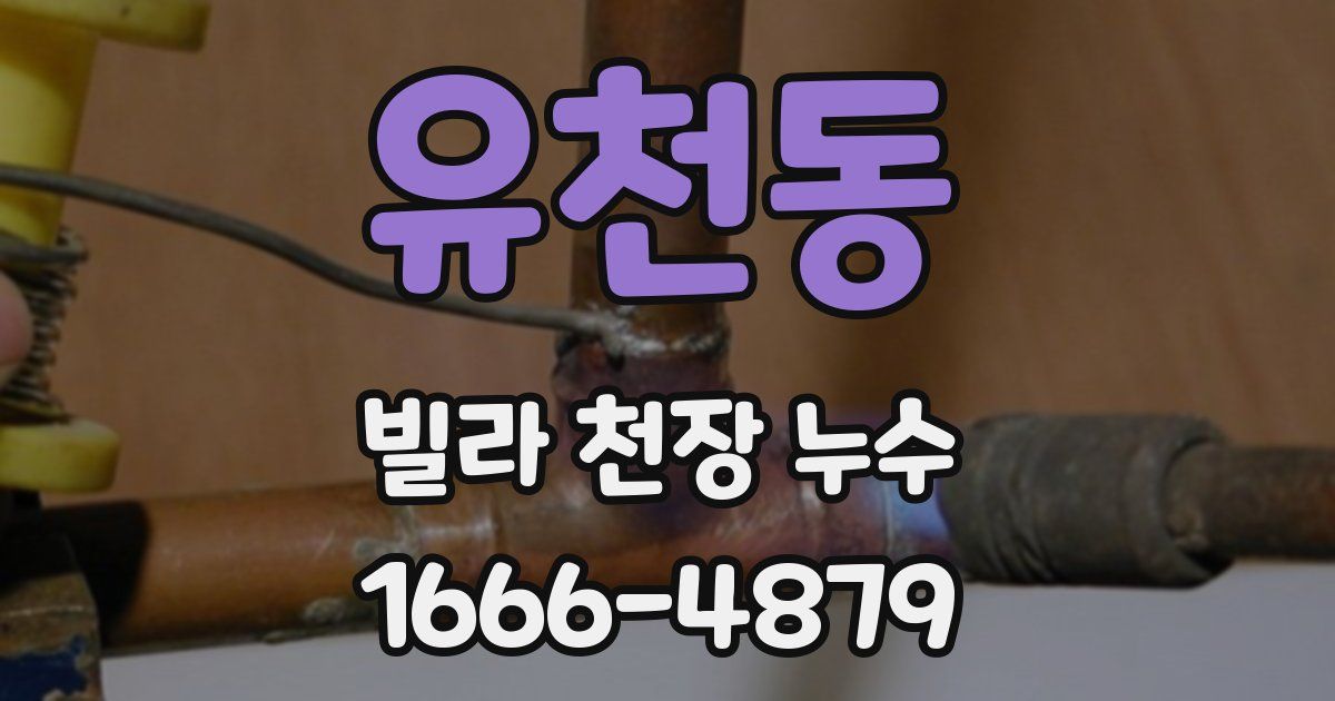 유천동 빌라 천장 누수