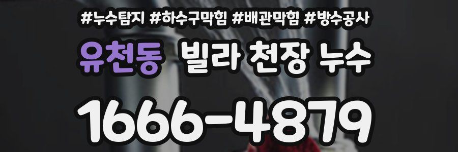 유천동 빌라 천장 누수