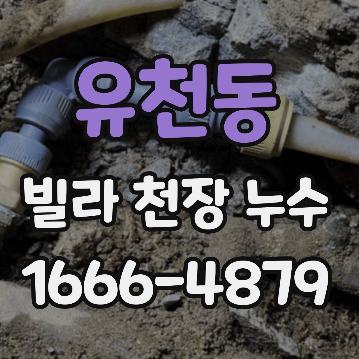 유천동 빌라 천장 누수