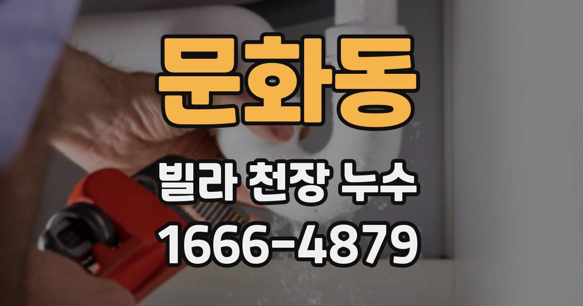 문화동 빌라 천장 누수