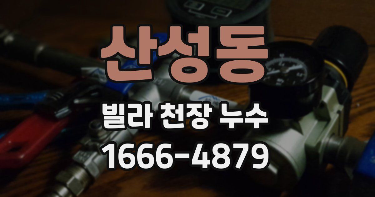 산성동 빌라 천장 누수