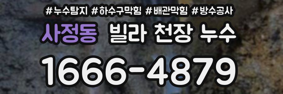 사정동 빌라 천장 누수