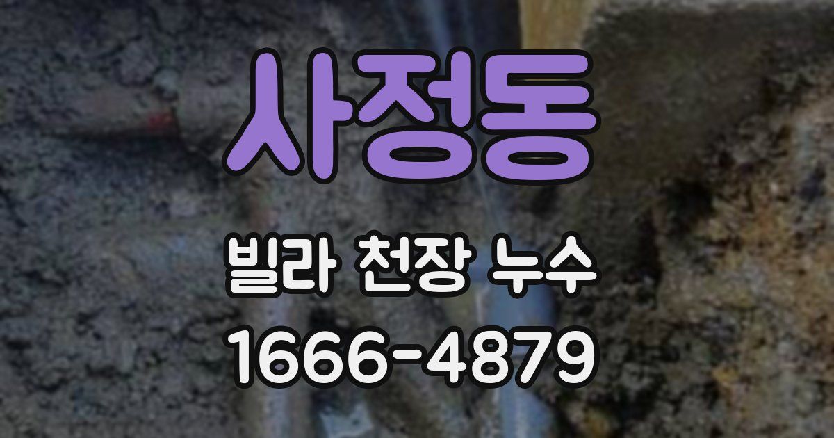 사정동 빌라 천장 누수