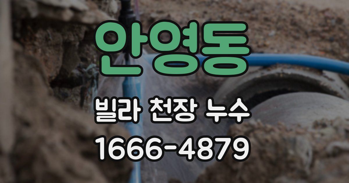 안영동 빌라 천장 누수