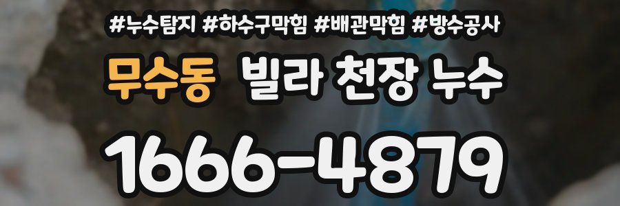 무수동 빌라 천장 누수