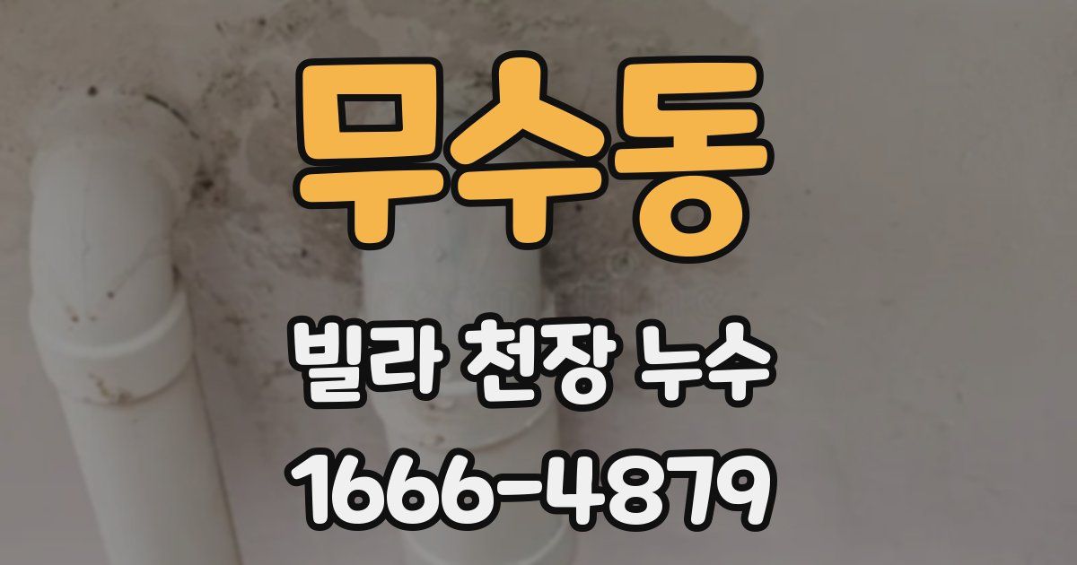 무수동 빌라 천장 누수