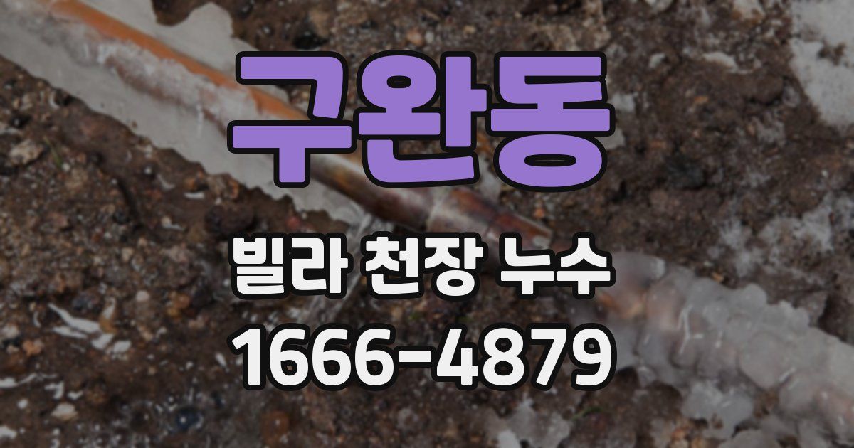 구완동 빌라 천장 누수