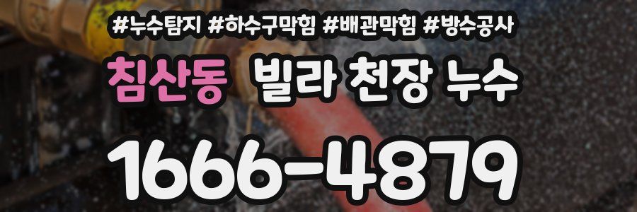 침산동 빌라 천장 누수