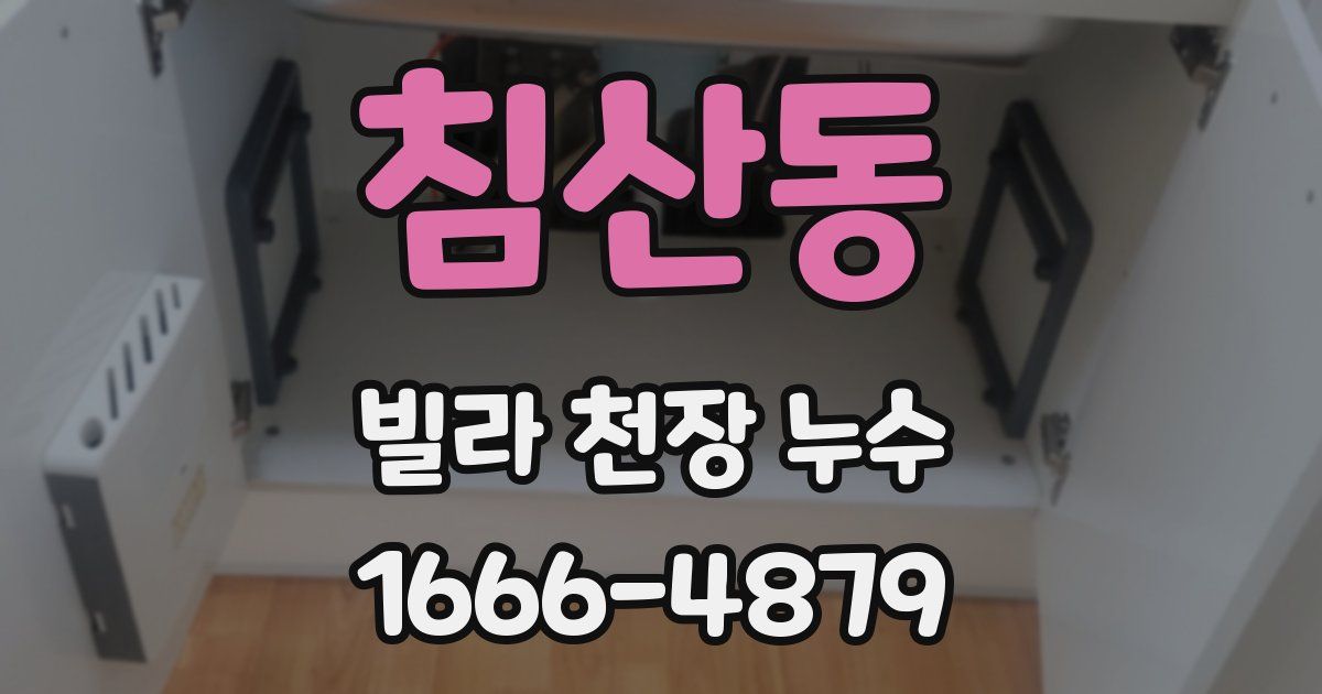 침산동 빌라 천장 누수