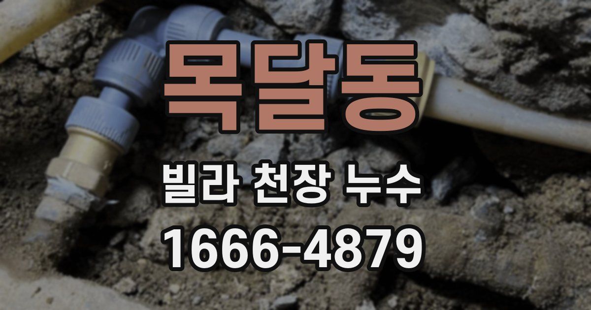 목달동 빌라 천장 누수