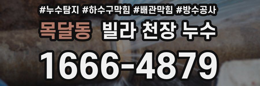 목달동 빌라 천장 누수