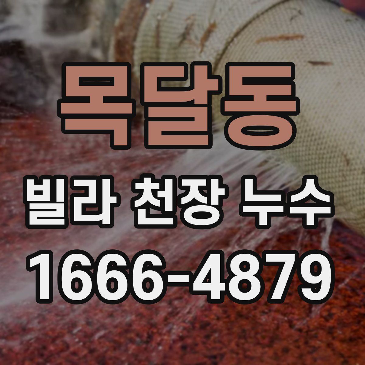 목달동 빌라 천장 누수