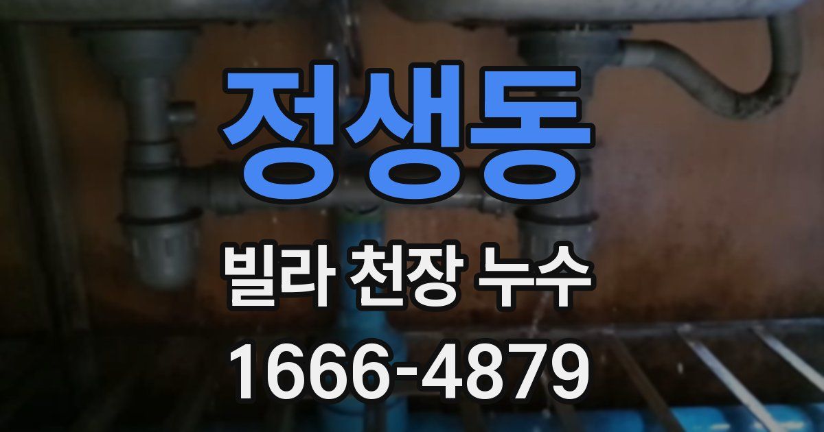 정생동 빌라 천장 누수