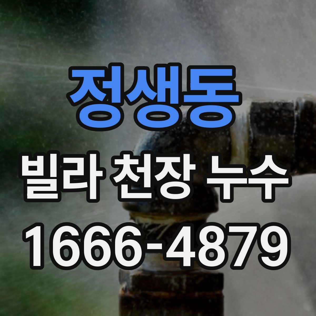 정생동 빌라 천장 누수