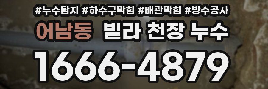 어남동 빌라 천장 누수