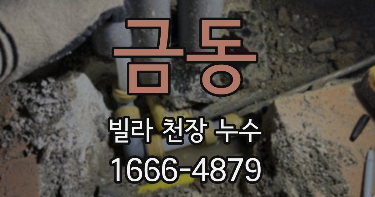 금동 빌라 천장 누수