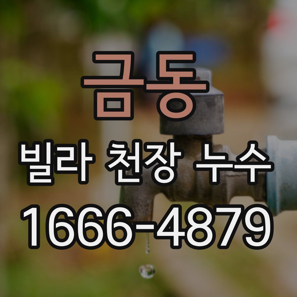 금동 빌라 천장 누수
