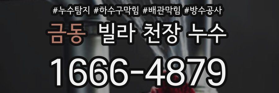 금동 빌라 천장 누수