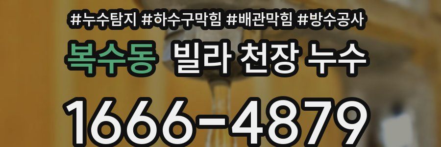 복수동 빌라 천장 누수