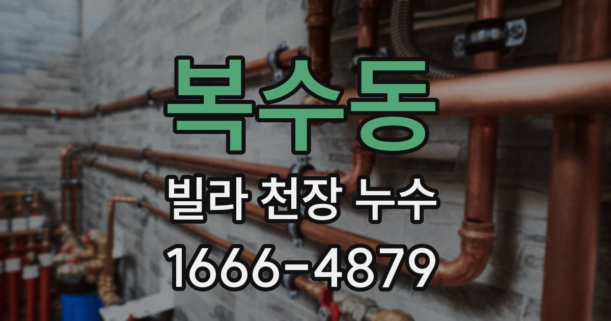 복수동 빌라 천장 누수
