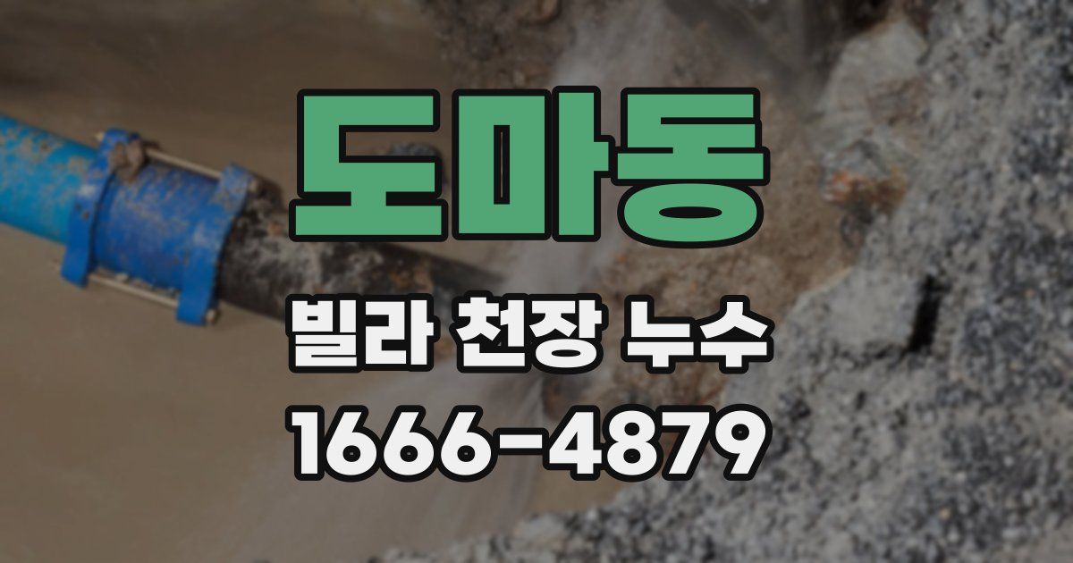 도마동 빌라 천장 누수