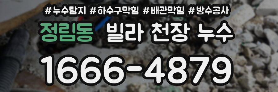정림동 빌라 천장 누수