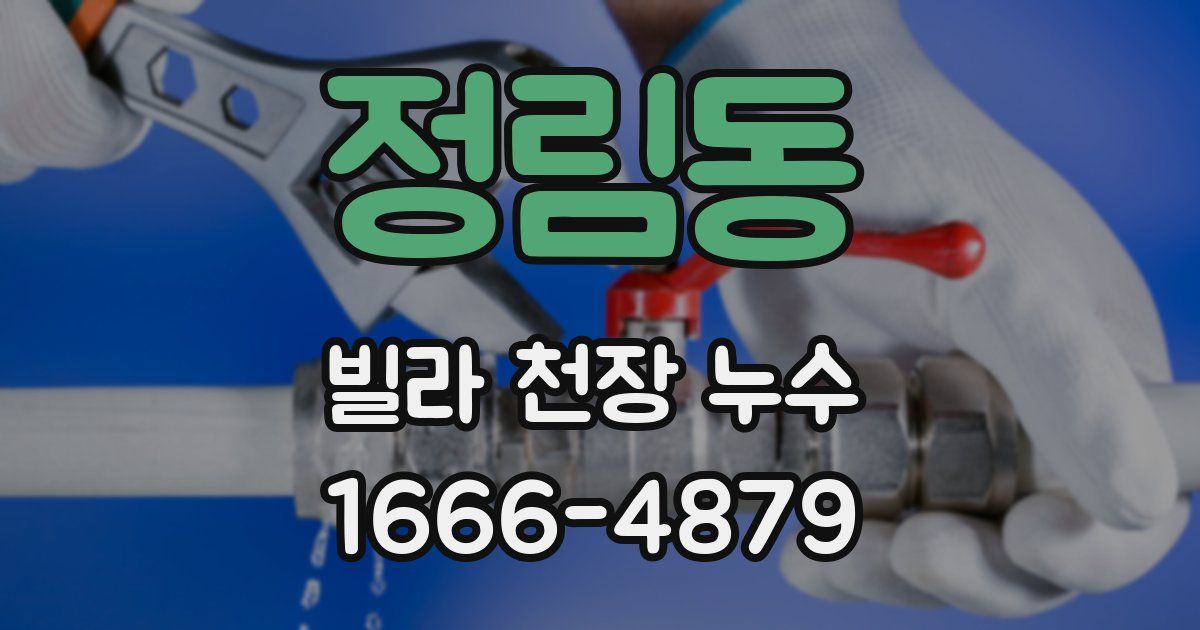 정림동 빌라 천장 누수