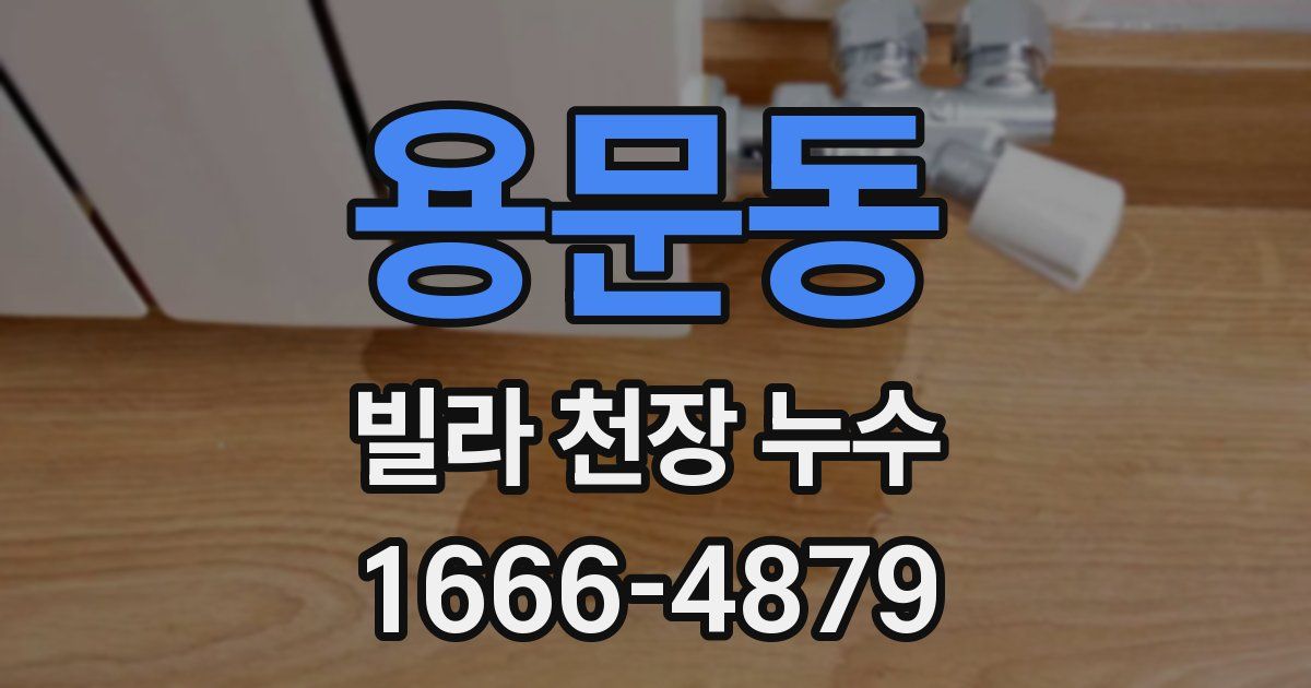 용문동 빌라 천장 누수