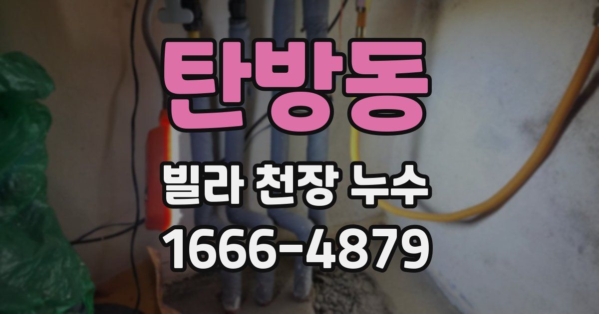 탄방동 빌라 천장 누수