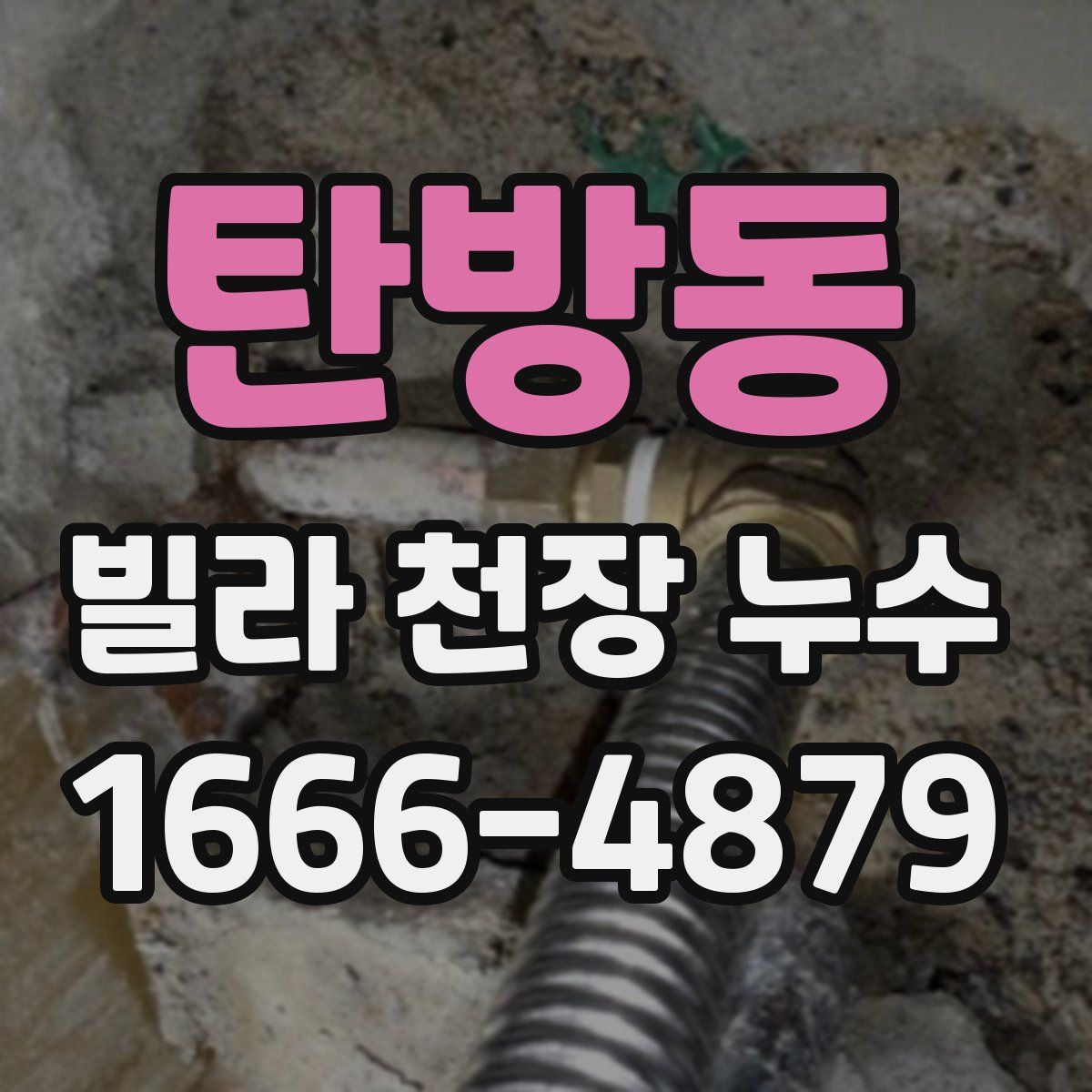 탄방동 빌라 천장 누수