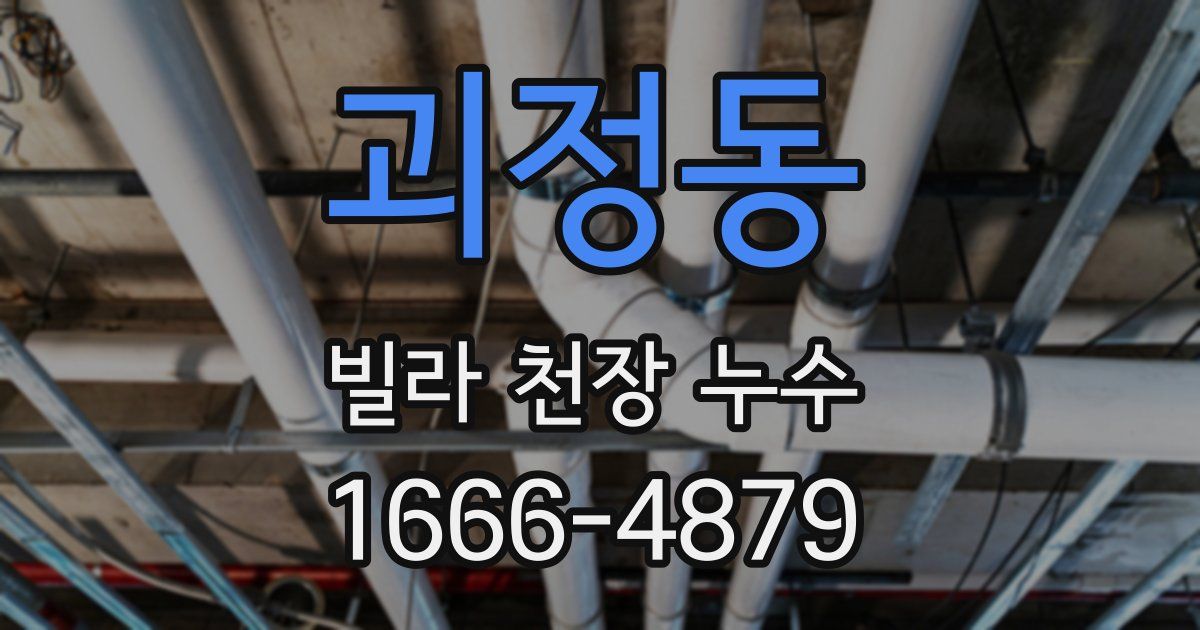 괴정동 빌라 천장 누수