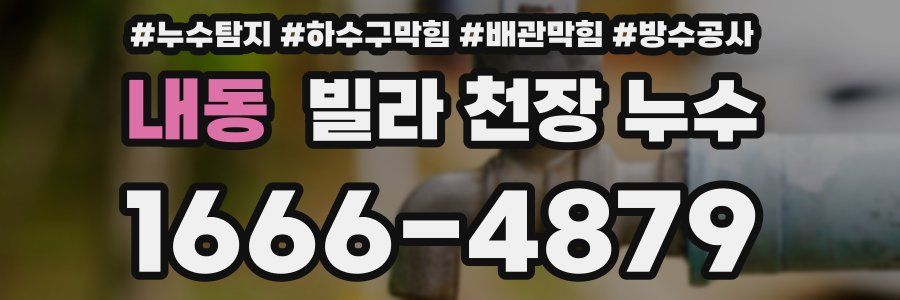 내동 빌라 천장 누수