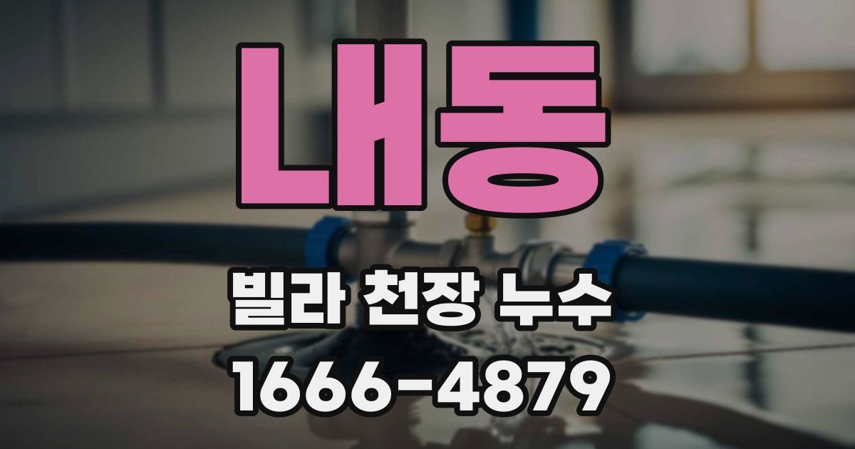 내동 빌라 천장 누수
