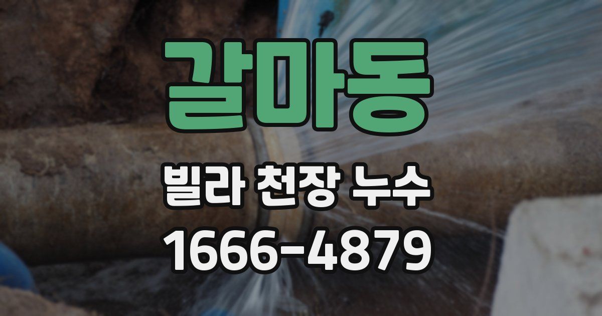 갈마동 빌라 천장 누수