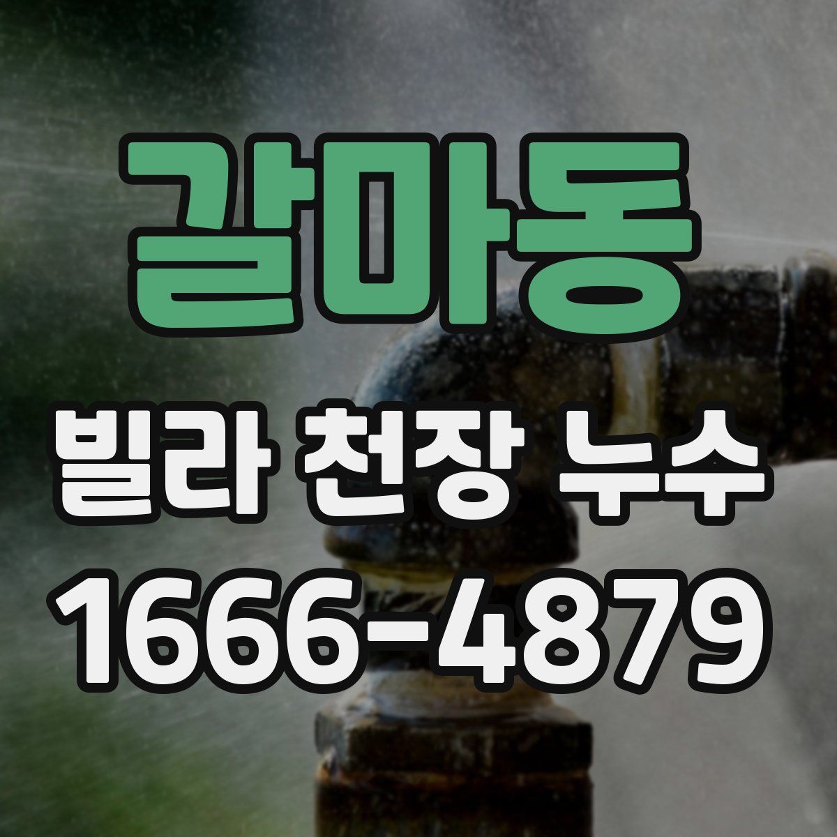 갈마동 빌라 천장 누수