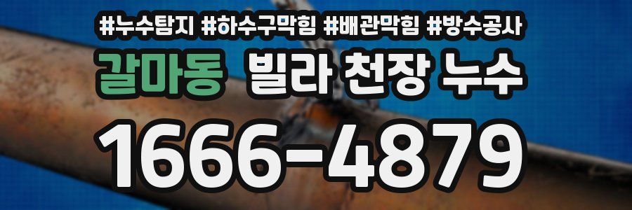 갈마동 빌라 천장 누수