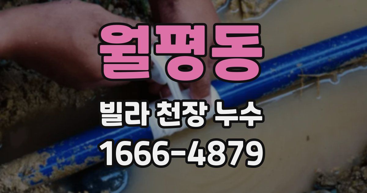 월평동 빌라 천장 누수