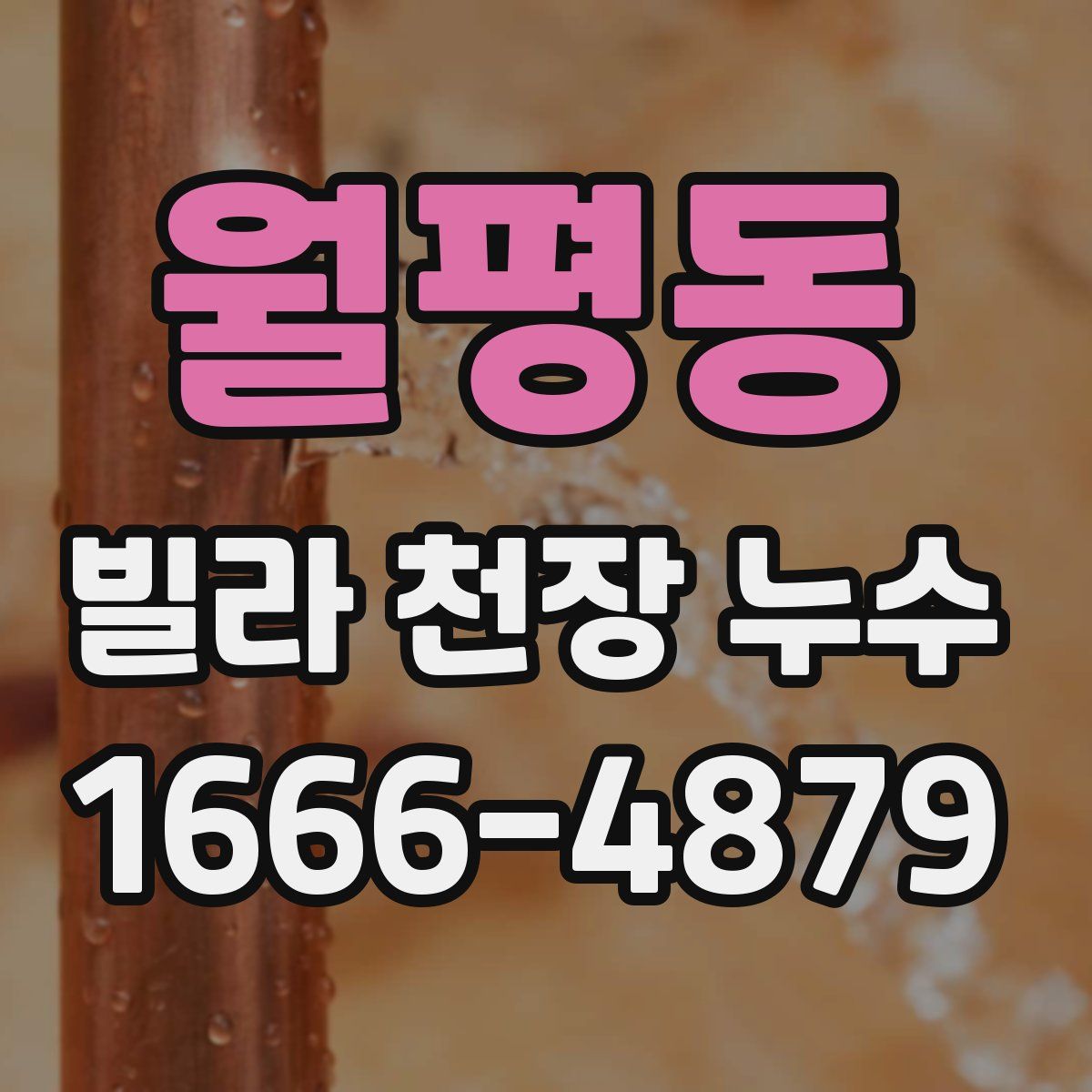 월평동 빌라 천장 누수