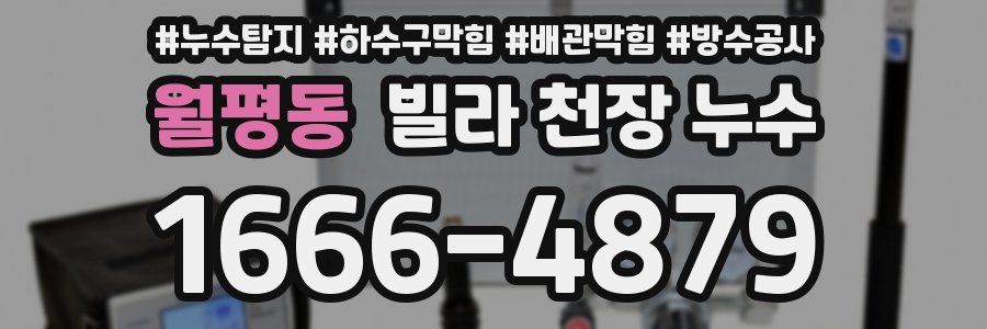 월평동 빌라 천장 누수
