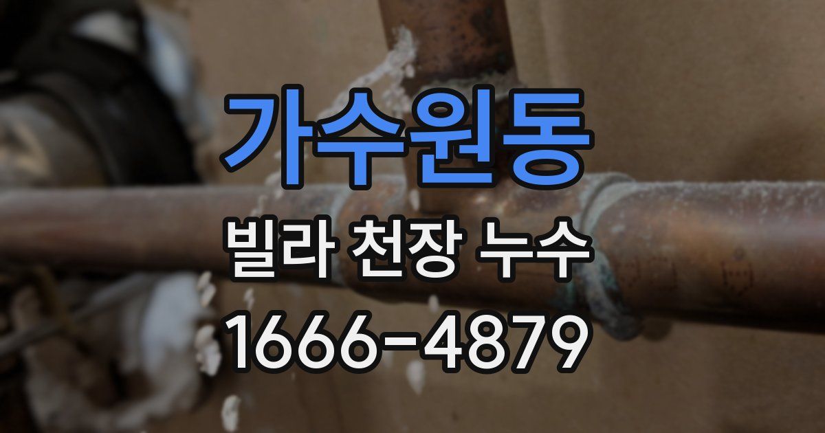 가수원동 빌라 천장 누수