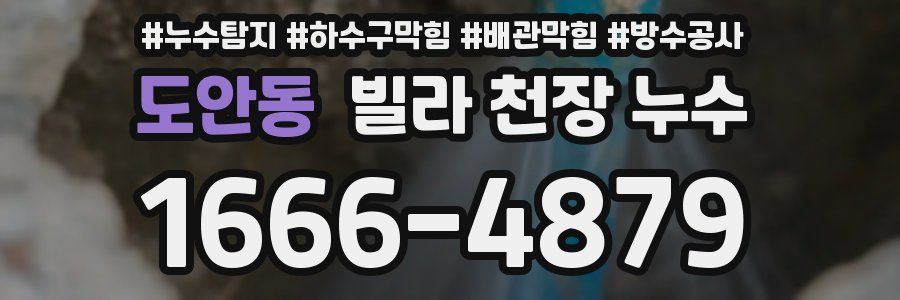 도안동 빌라 천장 누수