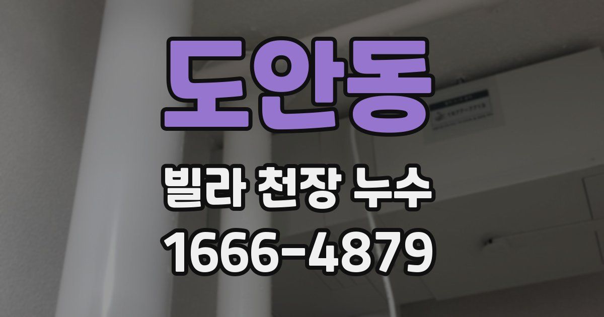 도안동 빌라 천장 누수