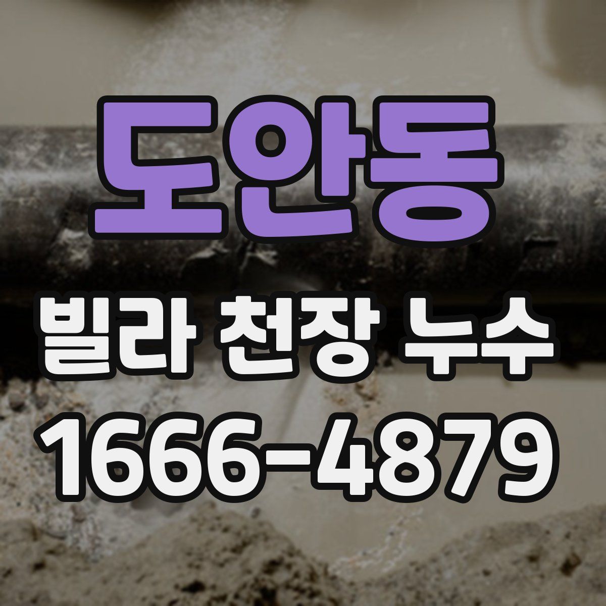 도안동 빌라 천장 누수