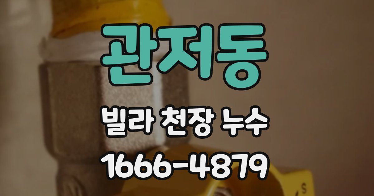 관저동 빌라 천장 누수