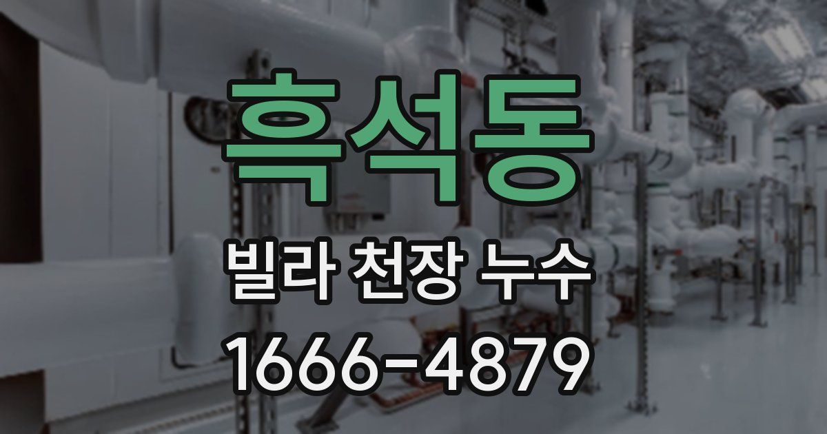 흑석동 빌라 천장 누수