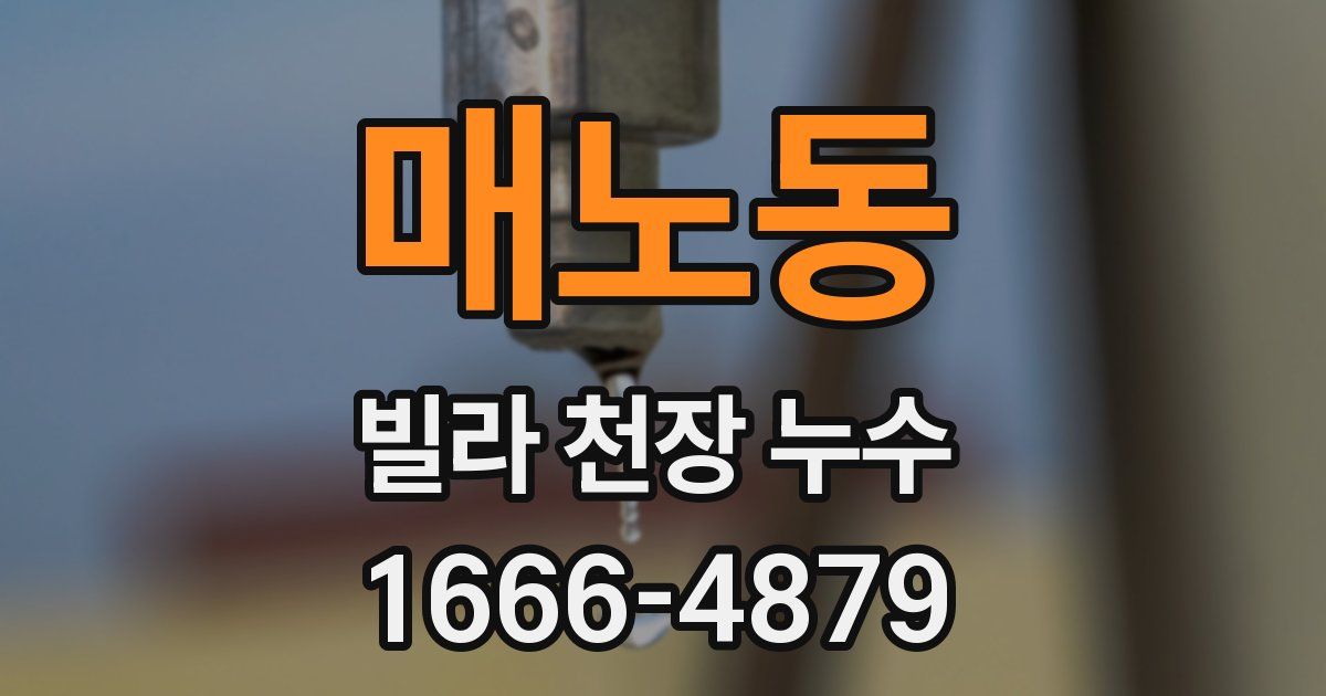 매노동 빌라 천장 누수
