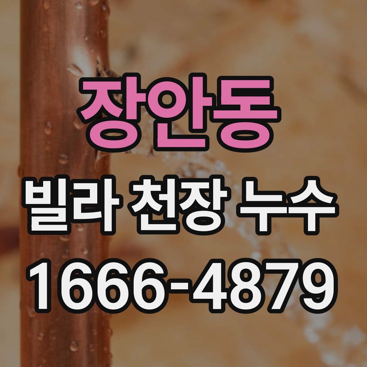 장안동 빌라 천장 누수