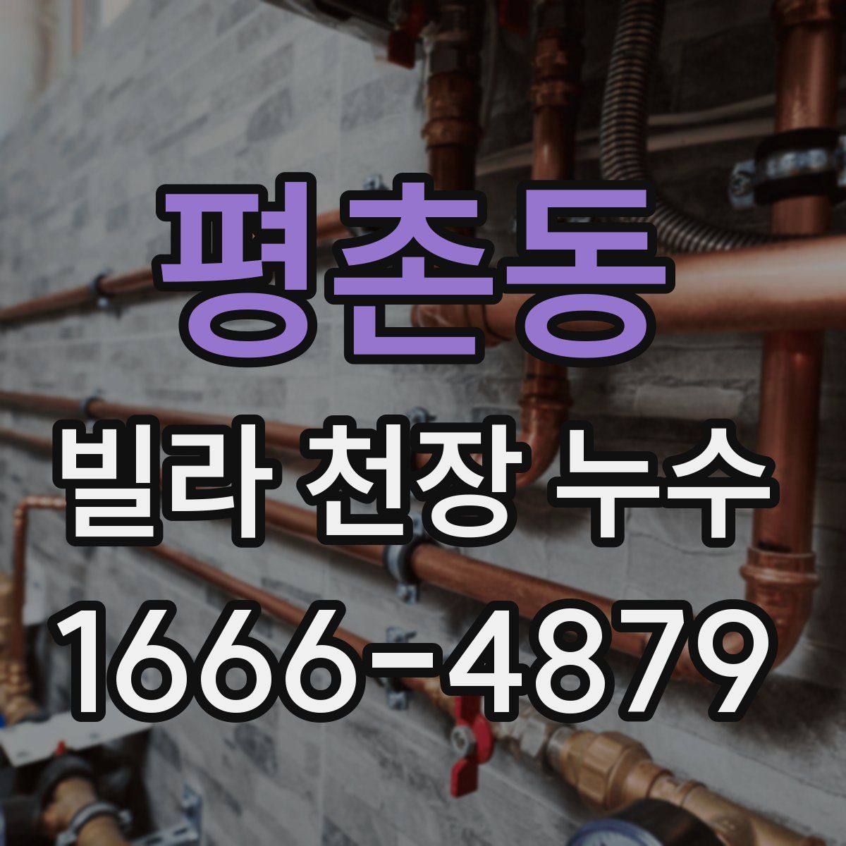평촌동 빌라 천장 누수