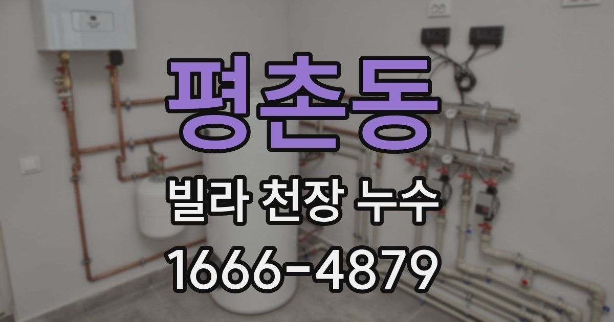 평촌동 빌라 천장 누수