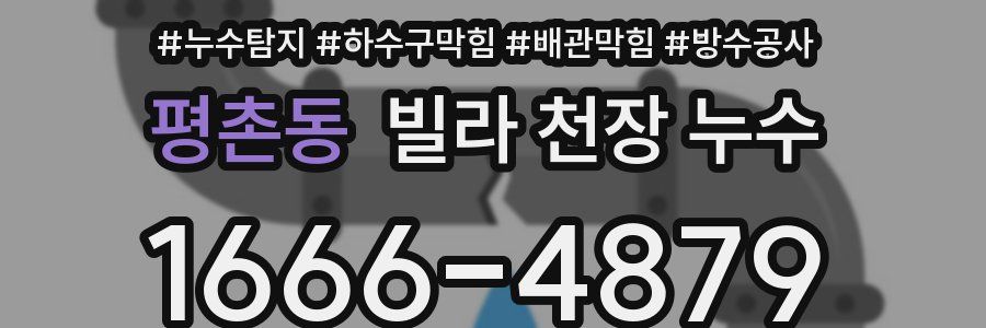 평촌동 빌라 천장 누수